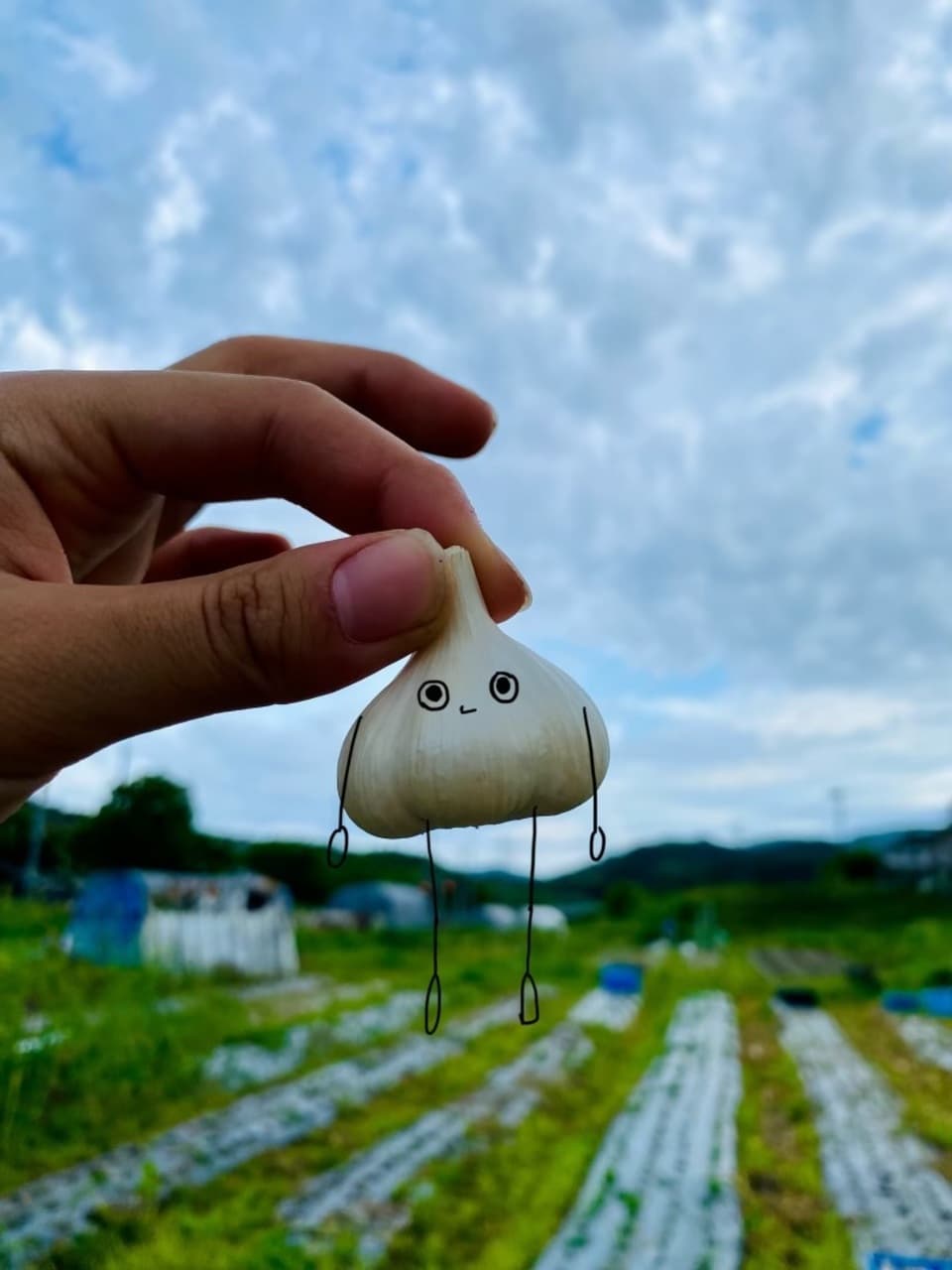 2024【夏】無農薬　旬の野菜セット