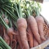 サムネイル 10