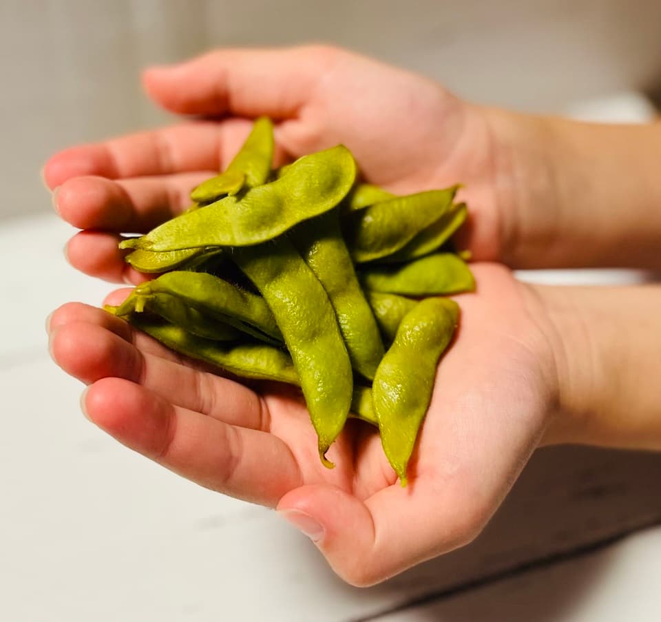 2024【夏】無農薬　旬の野菜セット