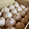 サムネイル 10