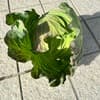 サムネイル 14
