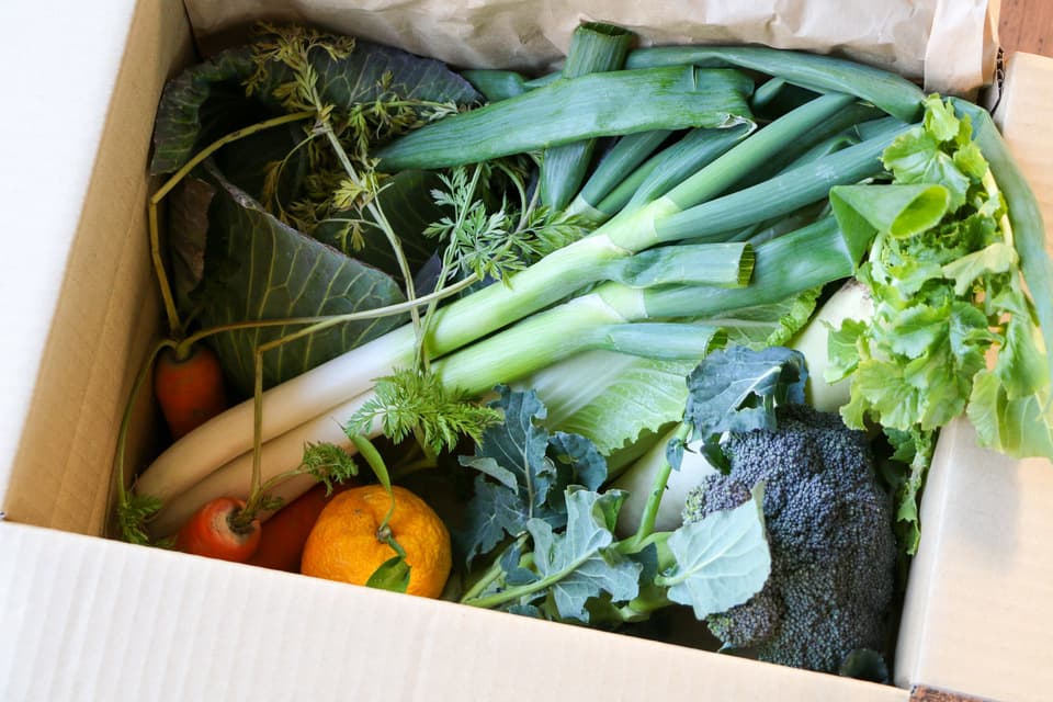無農薬　旬の野菜セット2025-2026年【冬野菜】農家オススメセット/キャベツ・ブロッコリー・白菜・大根・人参など日常便利な野菜詰め合わせ