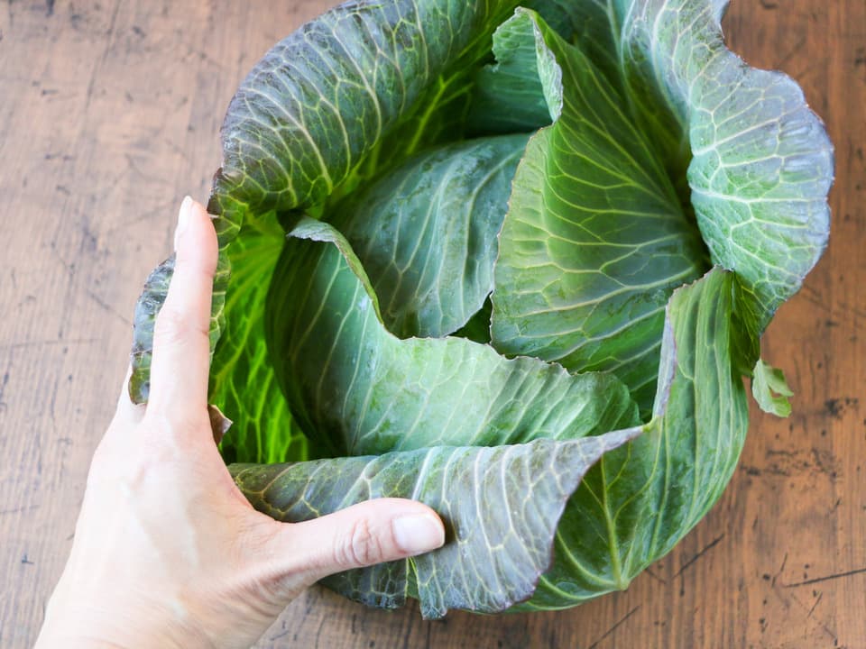 無農薬　旬の野菜セット2025-2026年【冬野菜】農家オススメセット/キャベツ・ブロッコリー・白菜・大根・人参など日常便利な野菜詰め合わせ
