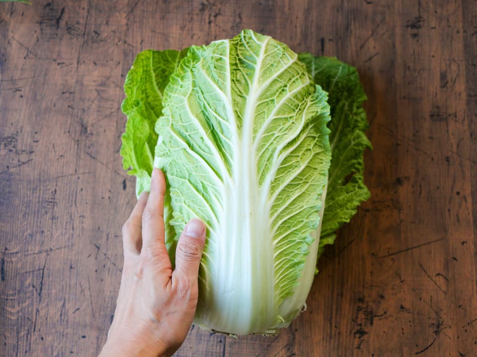 無農薬　旬の野菜セット2025-2026年【冬野菜】農家オススメセット/キャベツ・ブロッコリー・白菜・大根・人参など日常便利な野菜詰め合わせ