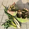 サムネイル 5