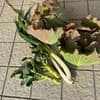 サムネイル 6