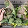 サムネイル 18