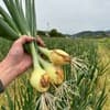 サムネイル 5