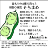 サムネイル 5