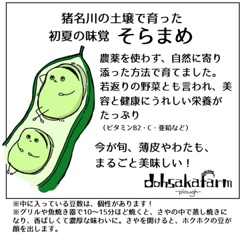 【完売御礼】2025 農薬不使用　そら豆