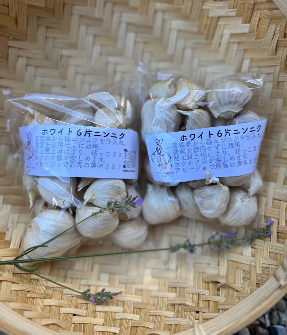 【今季完売】2025 無農薬ホワイト六片　ニンニク