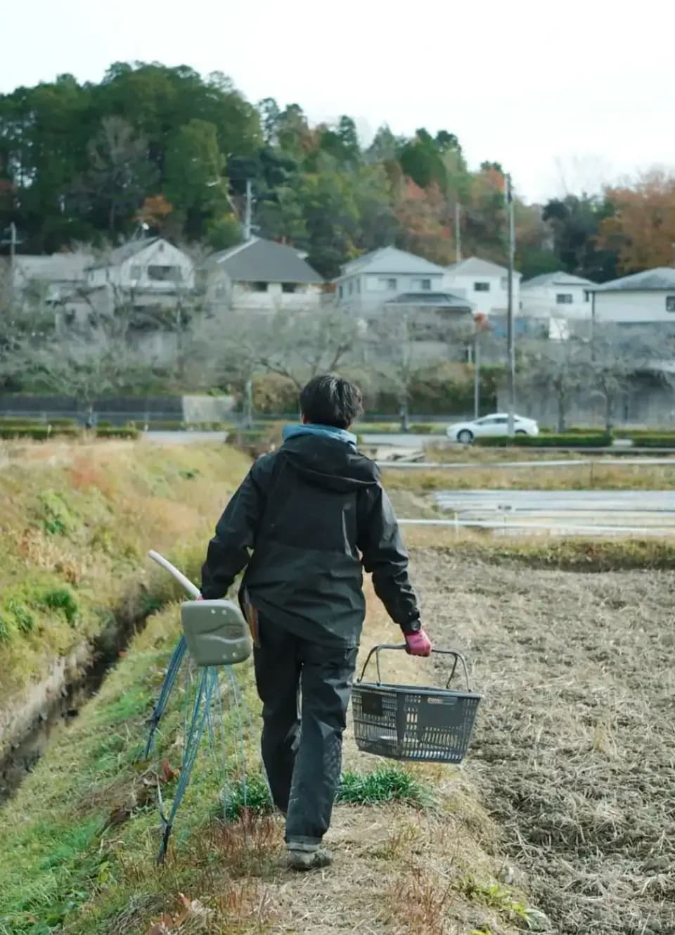 季節をつなぐ「ねぎ　根深ネギ／白ネギ」「露地野菜セット」