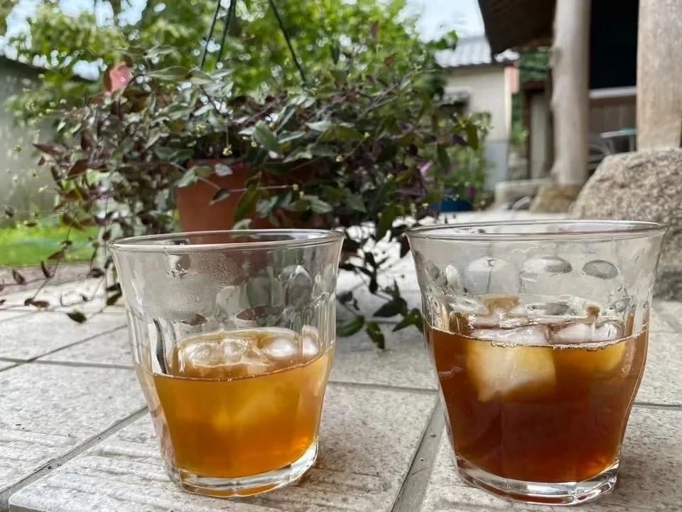 麦からつくる、夏の麦茶。dohsakafarm-plough- オンライン食育ワークショップ