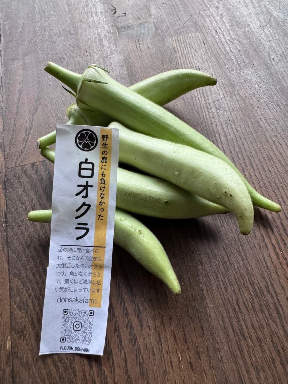 【農薬不使用】鹿の食害を乗り越えた奇跡の生命力！生でも柔らかい「白オクラ」（専用箱でお届け）