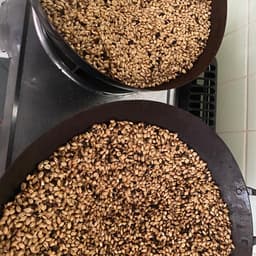 クラフト麦茶　新商品