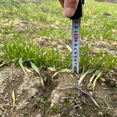 シカやイノシシに沢山食べられないための工夫