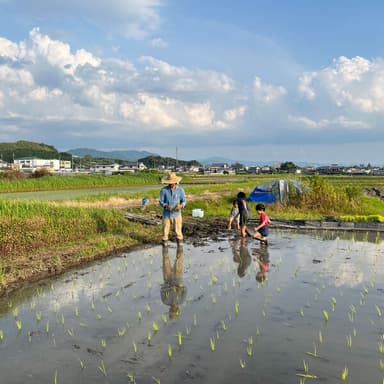eminini organic farmについて