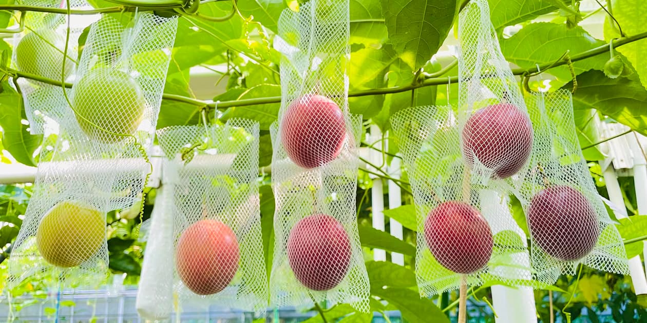 Entina Gardenロゴ