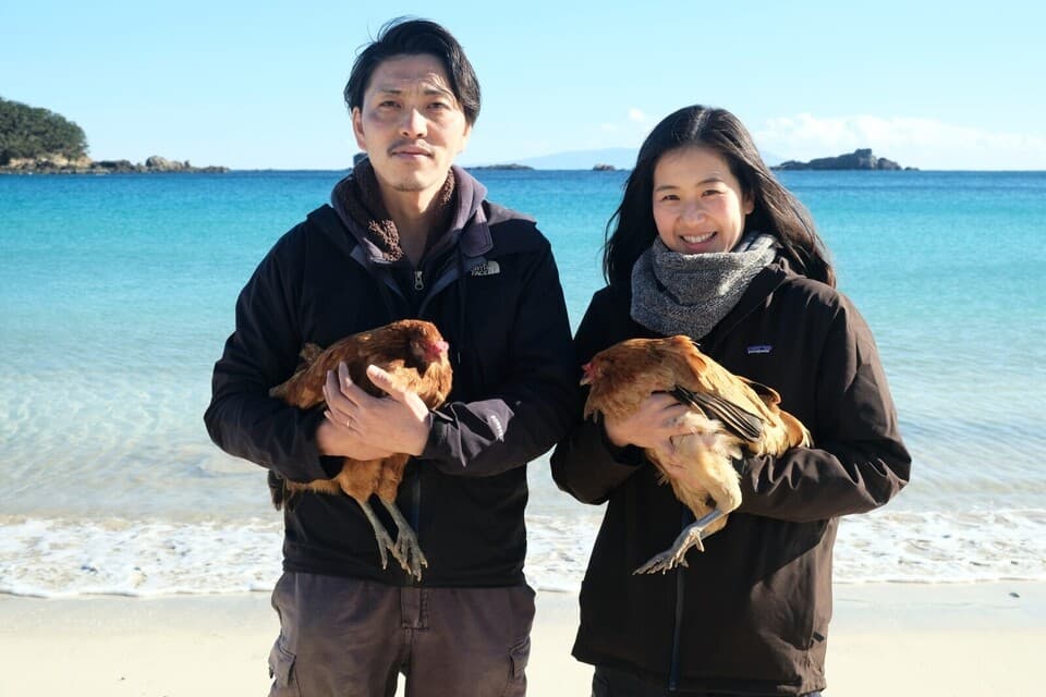  【定期購入】24時間放牧養鶏卵＜アローカナの産む幸せの青い卵・下田ブルー＞NHKで紹介！オメガ３が普通の４倍！