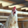 サムネイル 8