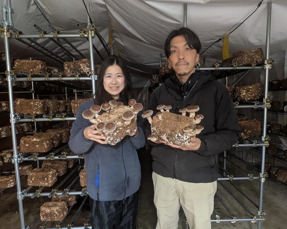 【母の日ギフト】 幸せの青い卵「下田ブルー」＆「下田しいたけ」セット