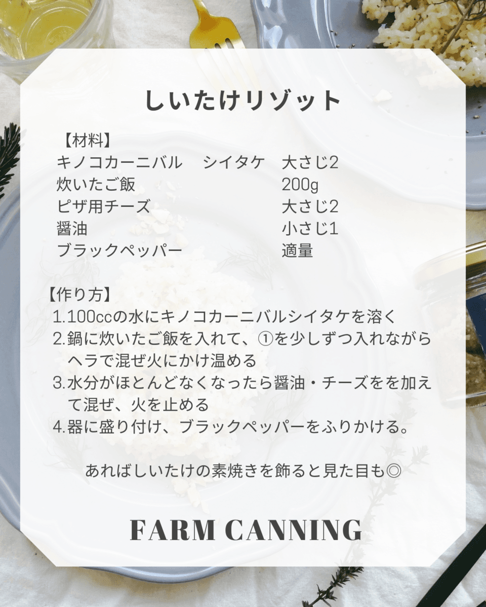 お日さまの光と井戸水で育てたシイタケを贅沢に使った＜KINOKO CARNIVAL シイタケ＞