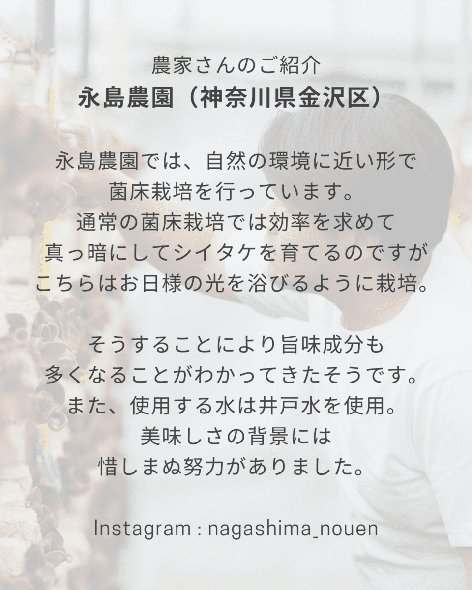 お日さまの光と井戸水で育てたシイタケを贅沢に使った＜KINOKO CARNIVAL シイタケ＞