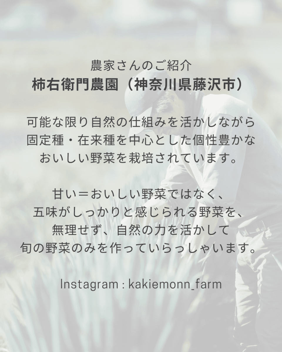 自然栽培で育ったニンジンがたっぷり＜ベジーニャ ニンジン＞