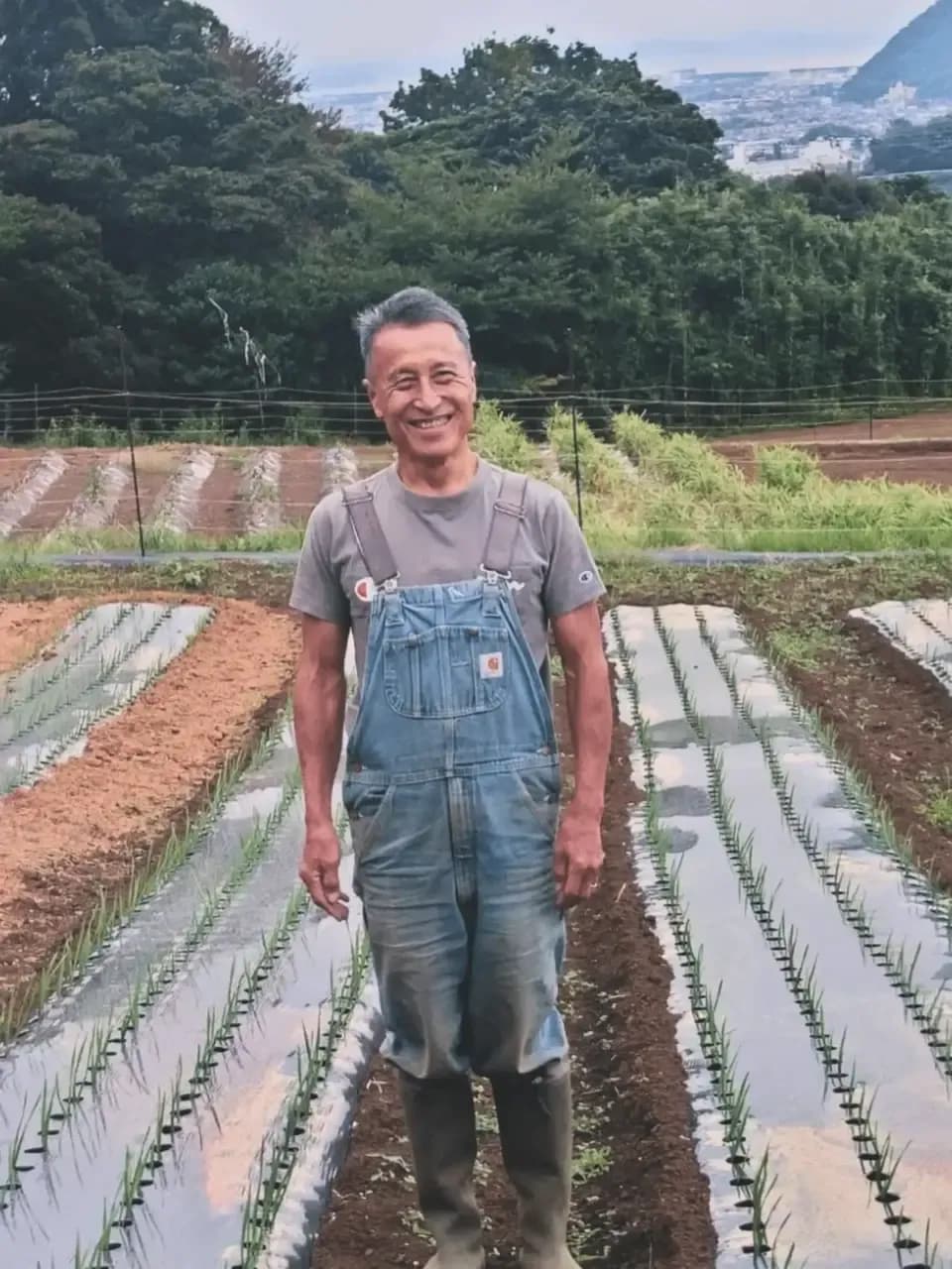 香り豊かな＜香味オイル ニンニクの芽＞もったいない野菜を美味しく変身