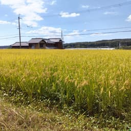 OPENしました☆彡