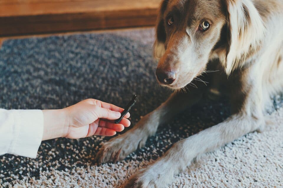 【愛犬用】（常温品）FISHDOGまぐろジャーキーシリーズ