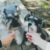 サムネイル 13