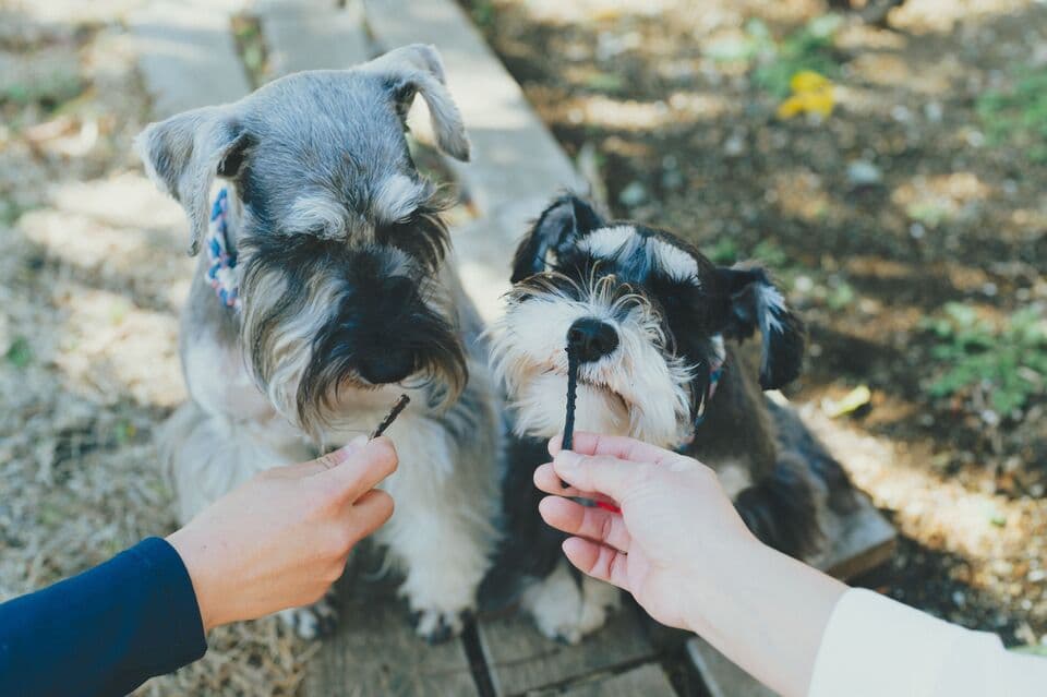【愛犬用】（常温品）FISHDOGまぐろジャーキーシリーズ