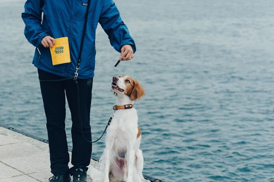 【愛犬用】（常温品）FISHDOGまぐろジャーキーシリーズ
