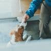サムネイル 15