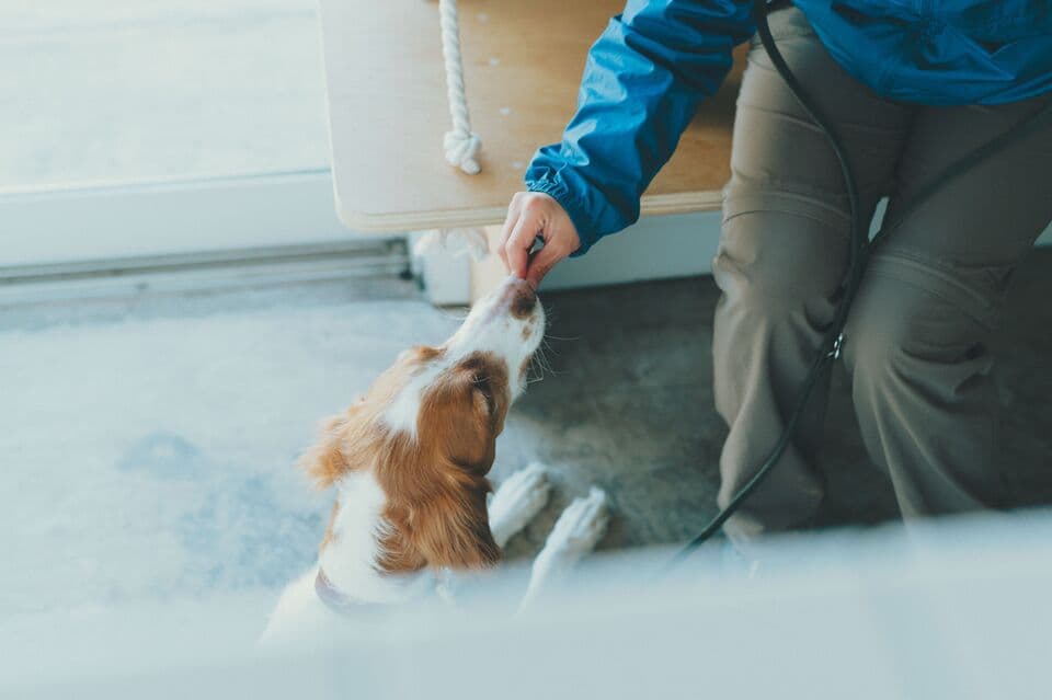 【愛犬用】（常温品）FISHDOGまぐろジャーキーシリーズ