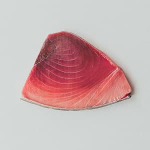 【冷凍】天然インドまぐろ<トロ・赤身> 断面刺し300gの口コミ・レビュー(よしけんさん)