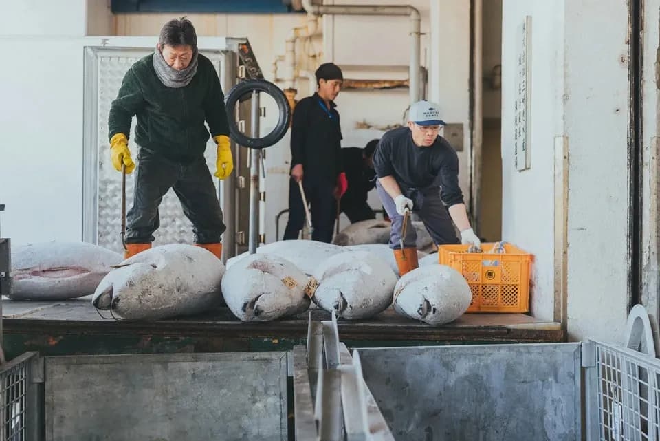 冷凍】天然本まぐろ 柵セット FISHSTAND by三崎恵水産 (神奈川県産