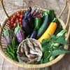 自然栽培の夏野菜セット