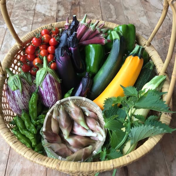 自然栽培の夏野菜セット