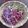 サムネイル 1