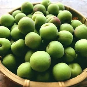自然栽培の梅(小梅)　2kg
