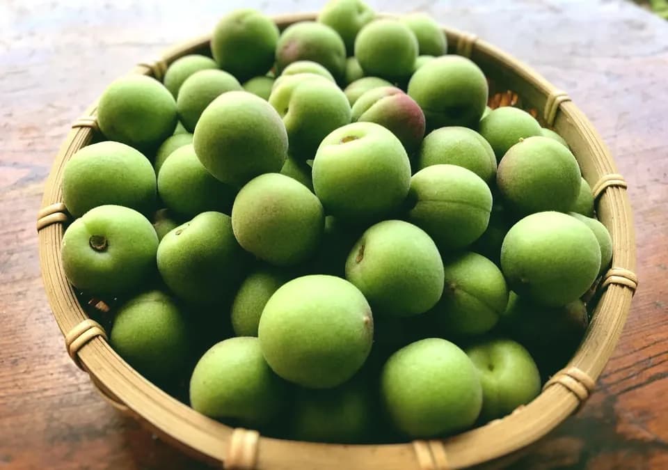 自然栽培の梅(小梅)　2kg