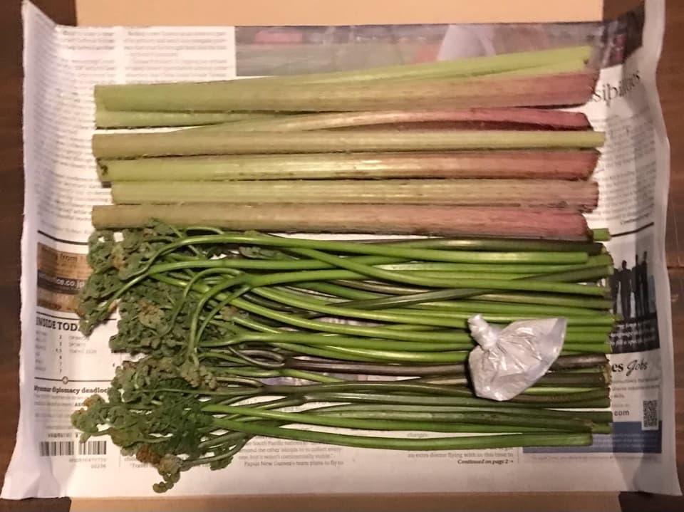 自然栽培のワラビ（アク抜き用木灰付）と自然栽培の蕗（ふき）