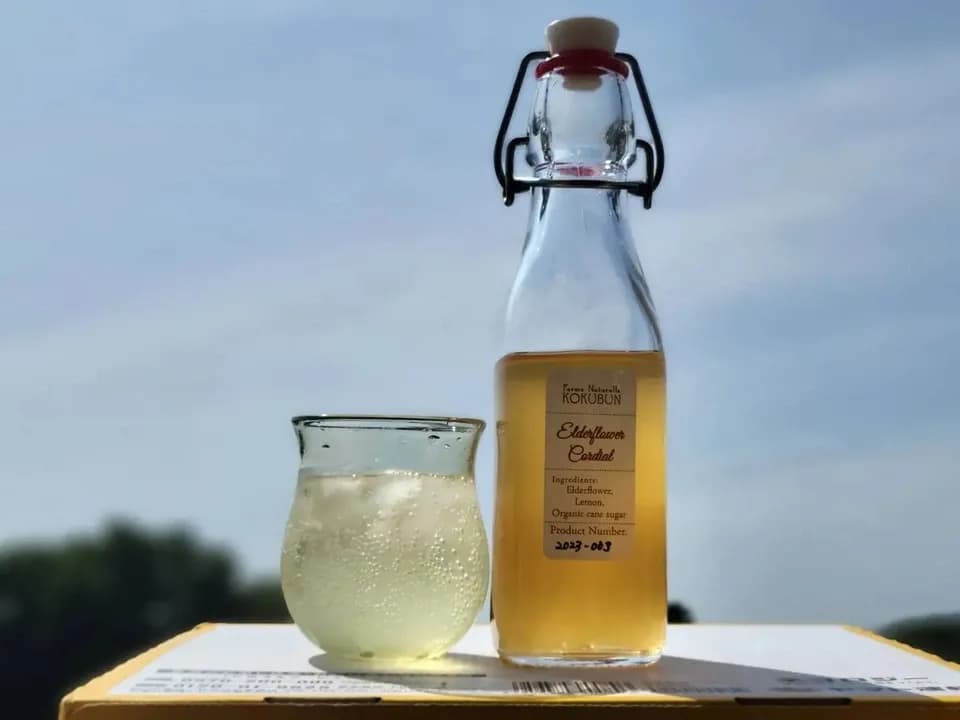自然栽培エルダーフワラーのコーディアルシロップ