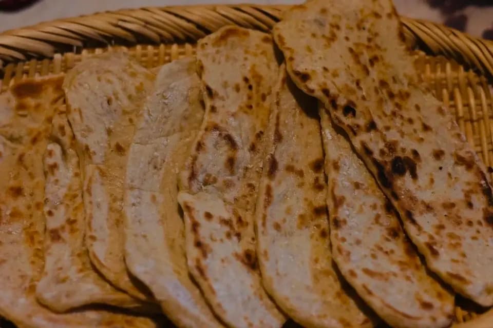 自然栽培のスペルト小麦