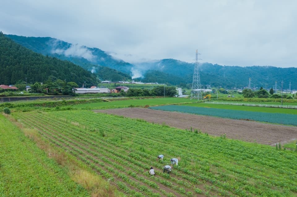 米みそ　若桜　農薬不使用×天然麹菌(野生麹菌)