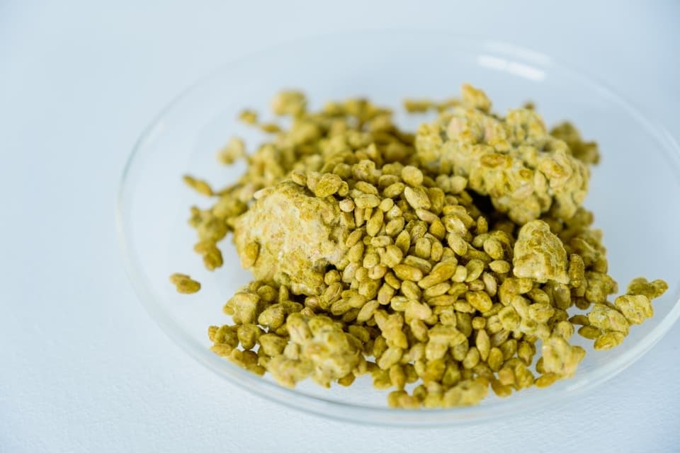 麦麹　農薬・化学肥料不使用大麦×天然麹菌(野生麹菌)