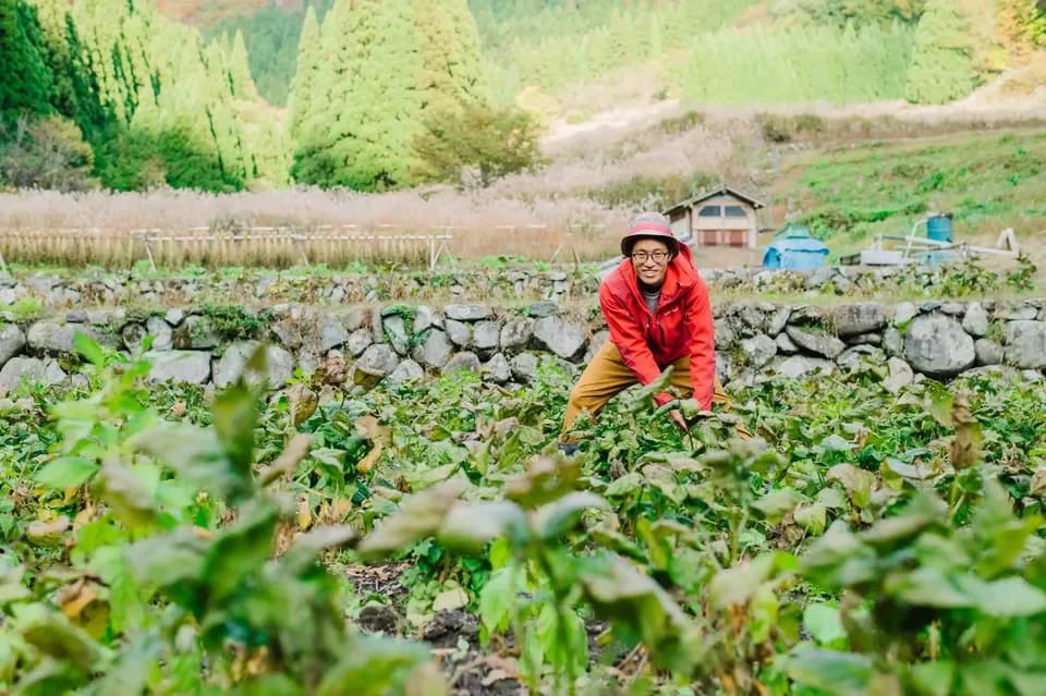 米みそ自然　自然栽培×天然麹菌(野生麹菌)