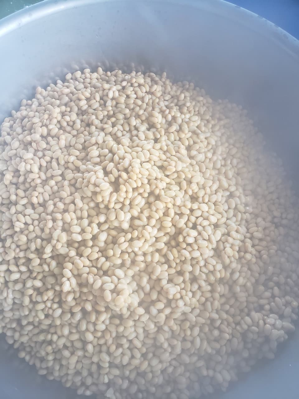 豆麹　自然栽培大豆×野生麹菌